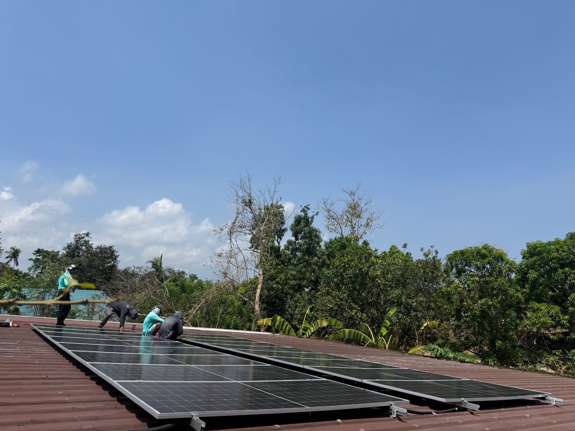 Installers fitting solar panels on a red corrugated metal roof surrounded by palm trees
